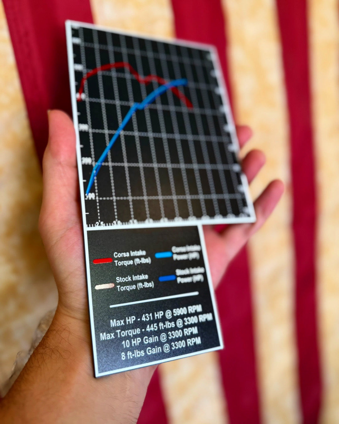 DYNO Graph Fuse Box Cover (Custom)