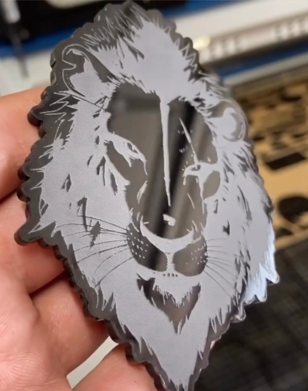 Two Lion Badges