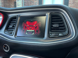 Custom Radio Cover