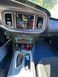 Custom Radio Cover
